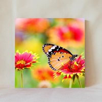 Dekorative Fliese, 4" X 4", Monarch Schmetterling, Orange Gaillardia Blume, Wildblume, Mehrfache Anzeigeoption, Untersetzer, Butterfly_2 von TerrificTile