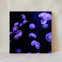 Dekorative Fliese, 4" X 4", Qualle, Tentakeln, Seejellies, Salzwasser, Mehrere Darstellungsoptionen, Multicolor, Untersetzer, Fish_28 von TerrificTile