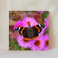 Dekorative Fliese, 10 X cm, Roter Admiral Schmetterling, Und Schwarzer Asterblumen, Untersetzer, Butterfly_27 von TerrificTile