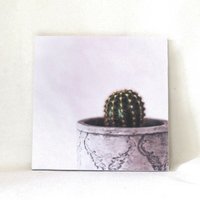 Dekorative Fliese, 4" X 4", Topfige Sukkulente Pflanze, Topfierter Kaktus, Zimmerpflanze, Mehrere Darstellungsoptionen, Multicolor, Untersetzer von TerrificTile