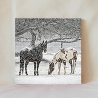 Dekorative Fliese, 4" X 4", Wildpferde, Wildpferde Im Schnee, Pferdebild, Mehrere Darstellungsoptionen, Multicolor, Untersetzer, Animals_74 von TerrificTile