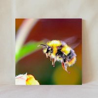 Dekorative Fliese, 4" X 4", Wildtier, Hummel, Fliegende Mehrere Darstellungsoptionen, Multicolor, Kleines Kunstwerk, Untersetzer, Animals_31 von TerrificTile