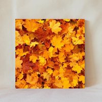 Dekorative Fliese, 4"x4", Herbstblätter, Herbstlaub, Eichenblätter, Herbst Dekor, Herbstliche Farbe, Anzeigemöglichkeiten, Multicolor von TerrificTile