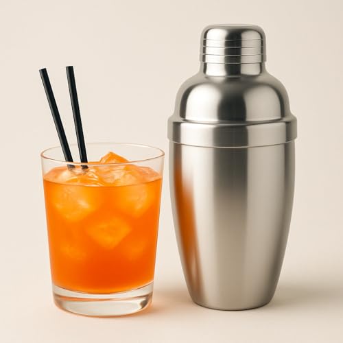 Martini Cocktail-Shaker 350 ml Profi Edelstahl mit integriertem Barkeeper-Filter für Bar und Zuhause von Terryshop74
