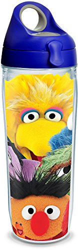 Tervis 1300744 Sesame Street-Big Faces Insulated Tumbler with Wrap and Blue with Gray Lid, 24oz Water Bottle, Clear von Tervis