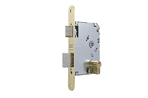 Tesa Assa Abloy 20106PRHL Einsteckschloss für Holztüren, Eingangsfunktion, Messingstahl von Tesa Assa Abloy