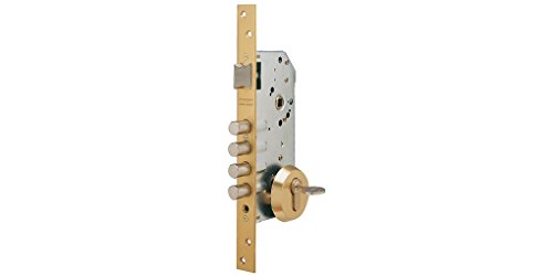 tesa R200B Türschloss mit Bolzen 50 ohne Zylinder: poliertes Messing,. von Tesa Assa Abloy
