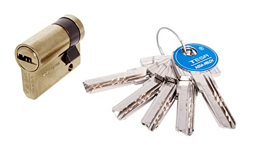 tesa T60 – Zylinder 5 Schlüssel 2030/40 x 10 messingfarben tesa T60 – Zylinder 5 Schlüssel 2030/40 x 10 messingfarben von Tesa Assa Abloy