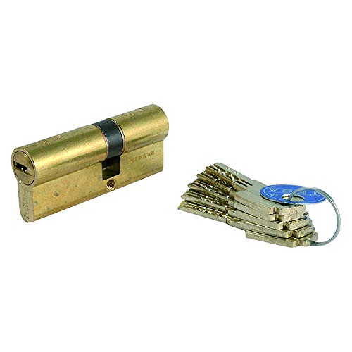 tesa T80 – Messing Zylinder 5 Schlüssel E30 2030/40 x 60 von Tesa Assa Abloy