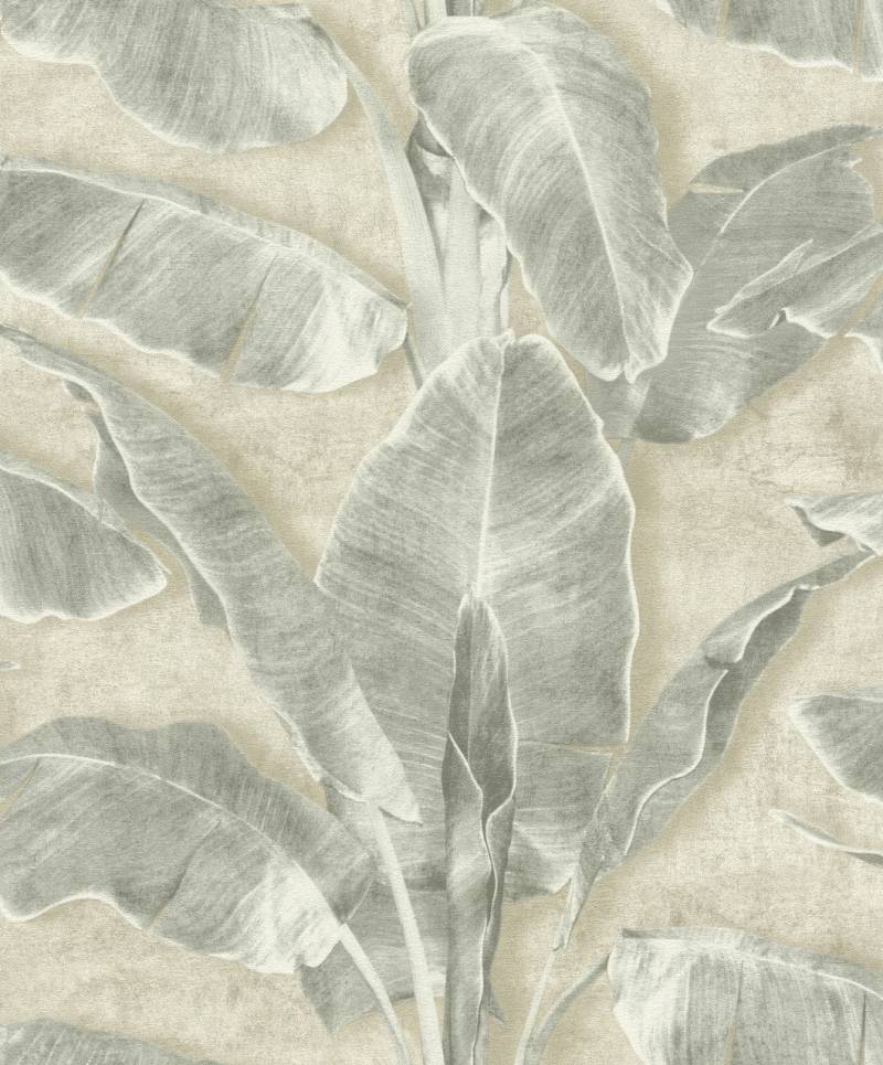 Tesa x Rasch selbstklebende Tapete Cuba Blatt grün beige 6 x 0,53 m von Tesa Rasch