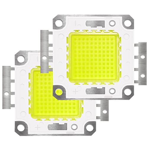 Tesfish 2PCS 100W LED Chip Weiß 6000-6500K COB Glühbirne für LED Flutlicht, Deckenleuchte, Hohe Energieeinsparung Lampe von Tesfish