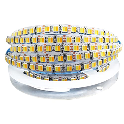 Tesfish 12V 2 in 1 LED Streifen CCT Kaltes Weiß + Warmweiß, Farbtemperatur einstellbar (2800K bis 6500K) 5M Strip Lichtband IP20 Gesamt 600 LEDs band Lichtleiste von Tesfish