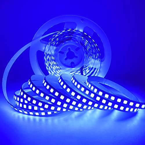 Tesfish 12V LED Streifen Licht, 5 Meter Blau LED Lichtleisten SMD 5054 IP20 120 LEDs/M, Total 600 LEDs LED Bänder, LED Strips für Zuhause, Regal, Küche Dekoration von Tesfish