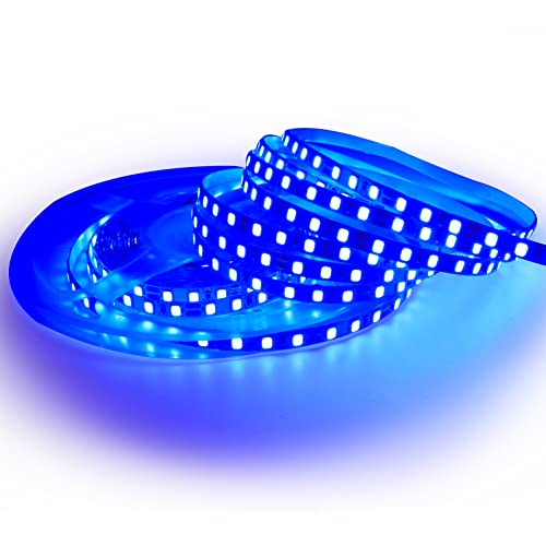 Tesfish 12V LED Streifen Licht, 5mm Breit, Blau Farbe 5M LED Strip Lichtband 2835 IP20 120 LEDs/M, Total 600LEDs LED band LED Lichtleiste LED Leiste für Schlafzimmer, Küche Dekoration von Tesfish