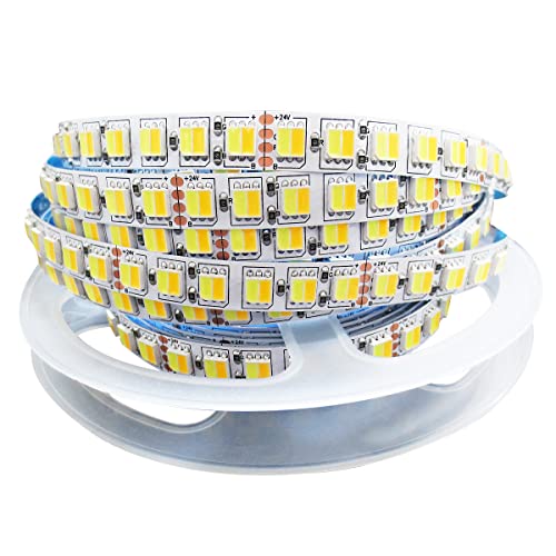 Tesfish 24V 2 in 1 LED Streifen CCT Kaltes Weiß + Warmweiß, Farbtemperatur einstellbar (2800K bis 6500K) 5M Strip Lichtband IP20 Gesamt 600 LEDs band Lichtleiste von Tesfish