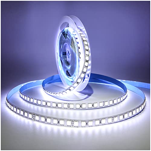 Tesfish 24V LED Streifen Licht, 5M Weiß 6000K Lichtleisten SMD 5054 IP20 120 LEDs/M, Total 600 LEDs Super Hell Bänder, Strips für Zuhause, Regal, Küche Dekoration von Tesfish
