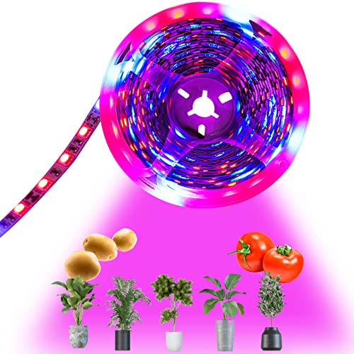Tesfish LED Pflanzen wachsen Streifen Licht DC 12V IP20 Vollspektrum SMD 5050 rot blau 4: 1 Seil Licht für Aquarium Gewächshäuser Pflanze von Tesfish