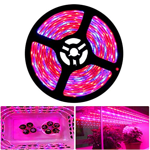 Tesfish LED Pflanzen wachsen Streifen Licht DC 12V IP65 Vollspektrum SMD 5050 rot blau 4: 1 Seil Licht für Aquarium Gewächshäuser Pflanze von Tesfish