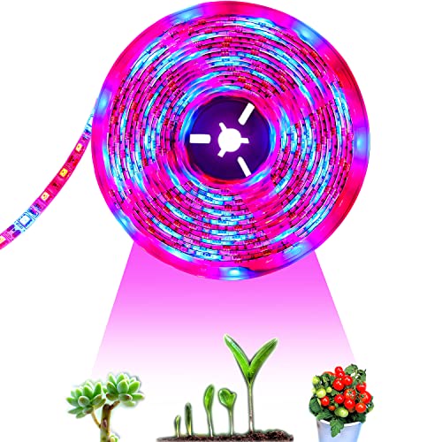 Tesfish LED Pflanzen wachsen Streifen Licht DC 12V IP65 Wasserdicht Vollspektrum SMD 5050 rot blau 3: 1 Seil Licht für Aquarium Gewächshäuser Pflanze von Tesfish