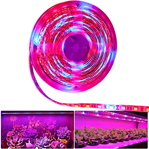 Tesfish LED Pflanzen wachsen Streifen Licht DC 12V IP65 Wasserdicht Vollspektrum SMD 5050 rot blau 5: 1 Seil Licht für Aquarium Gewächshäuser Pflanze von Tesfish