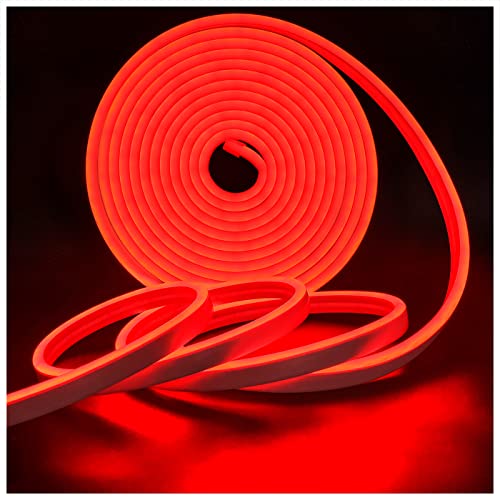 Tesfish Neon LED Streifen Licht, Rote Farbe LED Band DC 12V 5M 120 LEDs/M Insgesamt 600 LEDs Flexibel LED Lichtleisten für Schlafzimmer, Bar, Spielzimmer, Geburtstag, Weihnachtsfeier von Tesfish