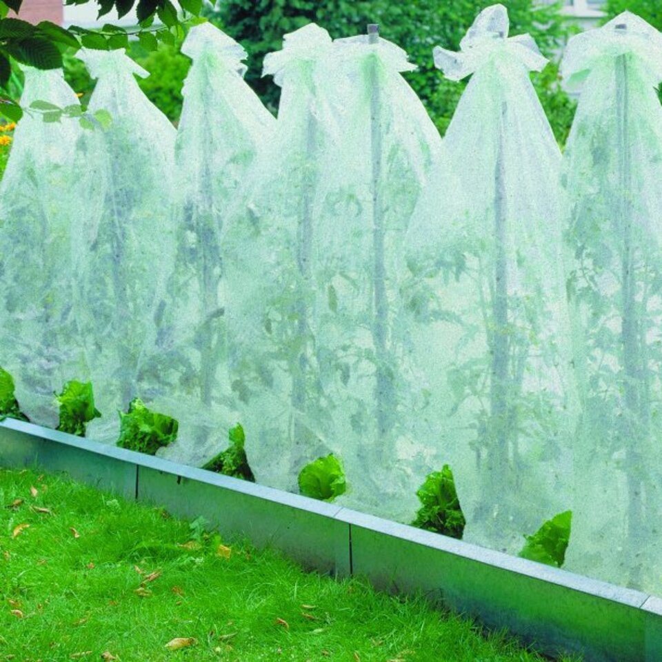 Testrut Gartenvlies Tomatenvlies 0,8 x 5 m, (1-St) von Testrut