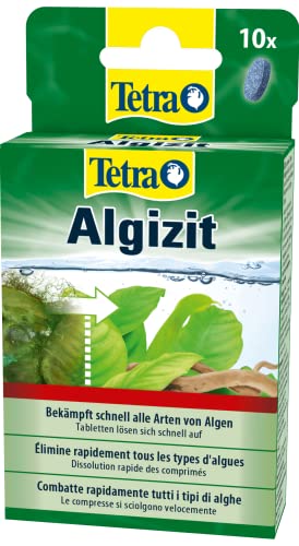 Tetra Algizit - vordosiertes Algenmittel mit schneller Biozid- Wirkung, hilft bei aktuten Algenproblemen im Aquarium, 10 Tabletten von Tetra