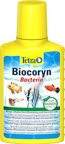 Tetra Biocoryn - Wasseraufbereitungsmittel zum biologischen Abbau von Schadstoffen, beugt Verschlammung & Gerüchen im Aquarium vor, 100 ml von Tetra