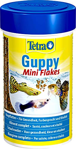 Tetra Guppy Mini Flakes Fischfutter - ausgewogenes, nährstoffreiches Flockenfutter für Guppies, 100 ml Dose von Tetra