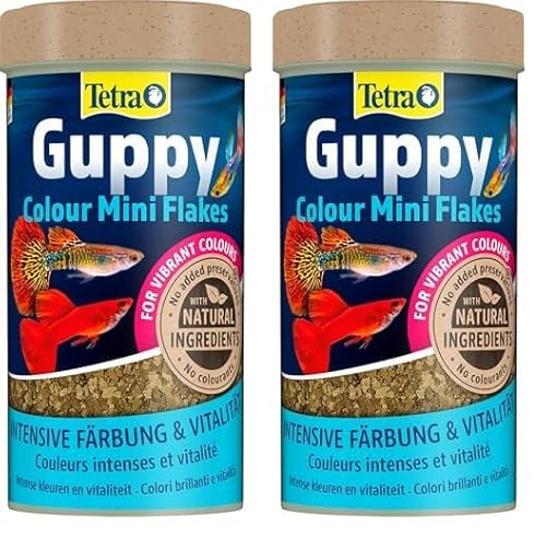 Tetra Guppy Colour Mini Flakes - Fischfutter für alle Guppys, feines Flockenfutter für kräftige Farben, 250 ml Dose (Packung mit 2) von Tetra