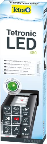 Tetra Tetronic LED ProLine Aquarium-Beleuchtung, Wasserbeleuchtung mit Tag- und Nachtmodus, 380 mm (ausziehbar bis 620 mm) von Tetra