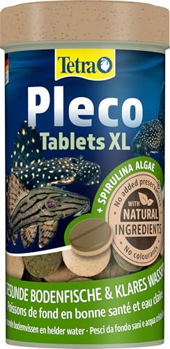 Tetra Pleco XL Tablets – Nährstoffreiches Fischfutter für alle größeren pflanzenfressenden Bodenfische mit unterständigem Maul, 133 Tabletten Dose Tetra Pleco XL Tablets – Nährstoffreiches Fischfutter für alle größeren pflanzenfressenden Bodenfische mit unterständigem Maul, 133 Tabletten Dose von Tetra