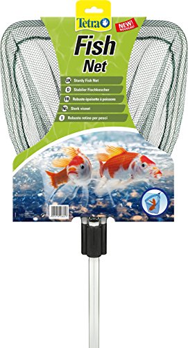 Tetra Pond Fish Net stabiler Fischkescher, Teich-Kescher mit Teleskopstiel für den sicheren Fang von Gartenteichfischen von Tetra
