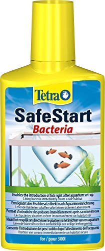 Tetra SafeStart Aquarienstarter - mit lebenden nitrifizierenden Bakterien, erlaubt den schnellen Einsatz von Fischen, 250 ml Flasche von Tetra