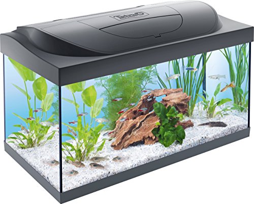 Tetra Starter Line 54 L Aquarium Komplett-Set - inkl. Tag- & Nachtlicht LED-Beleuchtung, Innenfilter, Heizer, Fischfutter und Wasseraufbereiter von Tetra