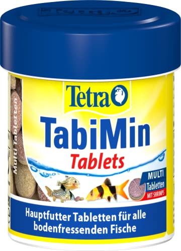 Tetra Tablets TabiMin - Tabletten Fischfutter für alle Bodenfische, z.B. Welse, Schmerlen oder bodengründelnde Barben, 120 Tabletten Dose von Tetra