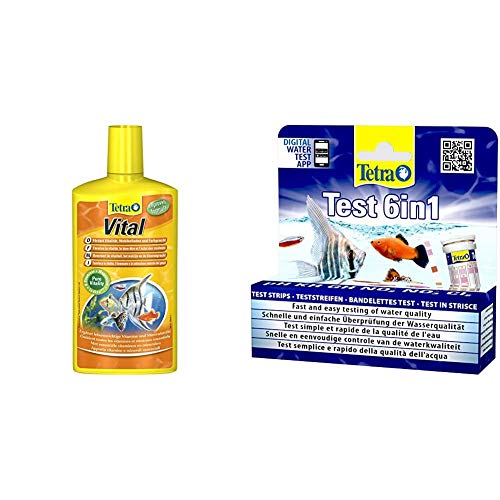 TetraVital Wasserpflege, zur Förderung von Vitalität, Wohlempfinden und Farbenpracht von Zierfischen, 500 ml & Test 6in1 Wassertest, schnelle und einfache Überprüfung der Wasserqualität, 1 Dose von Tetra