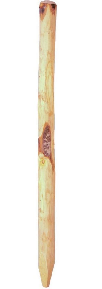 Tetzner & Jentzsch Zaunpfosten Zaunpfahl für Staketenzaun 250cm 8-10cm Kastanie Holzpfahl Pfosten Tetzner & Jentzsch Zaunpfosten Zaunpfahl für Staketenzaun 250cm 8-10cm Kastanie Holzpfahl Pfosten von Tetzner & Jentzsch