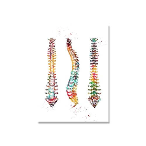 Menschliche Anatomie, Wirbelsäule, Herz, Gehirn, Wandkunst, Leinwand, Gemälde, Poster und Drucke, Körperkarte, Wandbilder, medizinische Ausbildung, Wohnkultur(Picture 9,A2 42x60cm no frame) von Teweakt