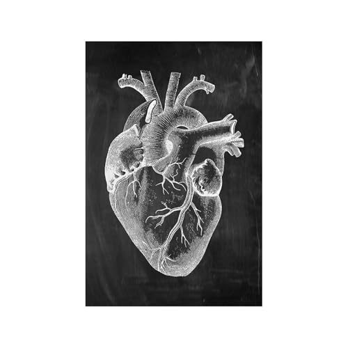 Menschliche Anatomie Leinwand Gemälde Vintage Poster Medizinisches Skelett Organ Muskelsystem Bild Körper Bildung Kunstwerk Wohnkultur(14,13x18cm No Frame) von Teweakt
