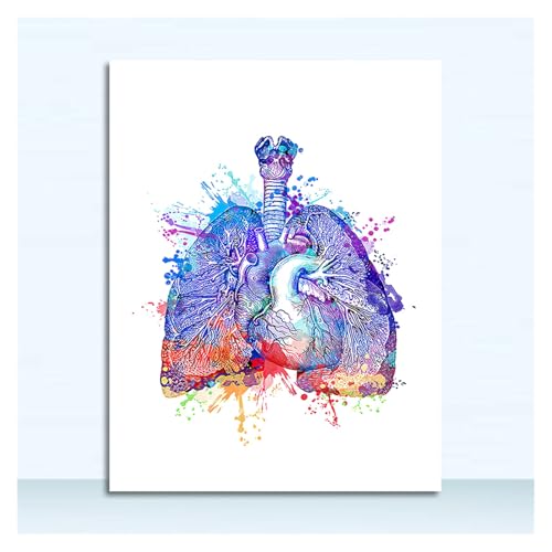 Leinwand Malerei Nordische Poster und Drucke Wandbilder Ärzte Büro Dekor Bunte Anatomie Gehirn Herz Niere Brust Wandkunst(5,30x45cm No Frame) von Teweakt