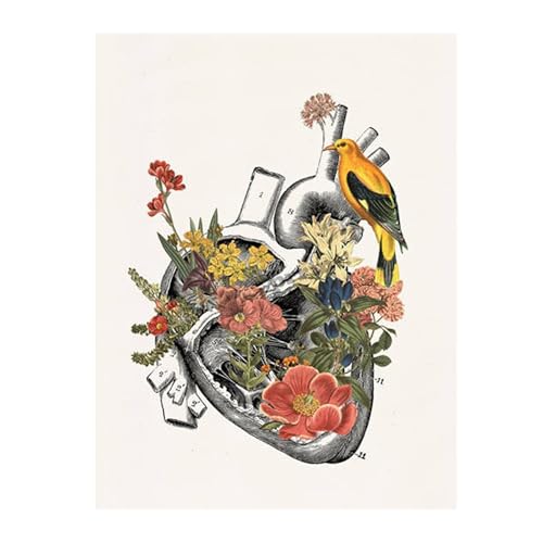 Vintage Human Anatomy Poster Botanical Medical Floral Organs Heart Lung Canvas Art Print Painting Wall Decor Christmas Gifts(G-No frame,40x50cm-16x20in) von Teweakt