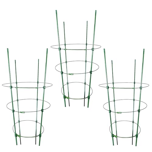 Tomatenstäbe Für Den Garten,Tomaten Rankgitter Mit Stützstäben Und Spalier - Pflanzenstützen Für Gurken & Blumen, Gartenzubehör Für Gemüse, Töpfe Und Innen- Sowie Außenpflanzen von Tewzafiya