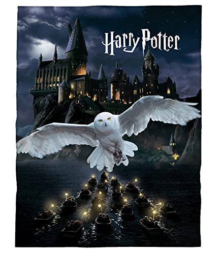 kuschelige Harry Potter Flauschdecke Fleecedecke 150 x 200 cm · große Decke Tagesdecke Kuscheldecke mit Hogwarts und Eule (schwarz) von Tex Idea