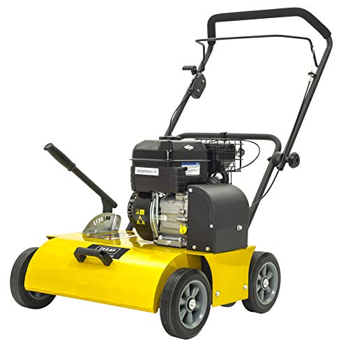 Texas Profi Rasen Vertikutierer Rasenlüfter Garten Benzin Pro Cut 460B B&S XR950 | 208ccm | 5,7PS | 4-Takt | 46cm Arbeitsbreite | 4200Watt | 48 Messer | Profigerät; für gewerbliche Nutzung geeignet von Texas