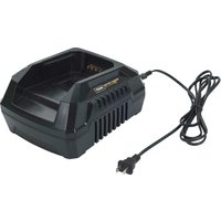 Texas Akku-Ladestation, Standard 40 Volt Texas Akku-Ladestation, Standard 40 Volt von Texas