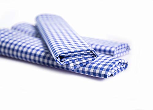 texpot Landhaus Servietten 30 x 30 cm - 6 Stück blau-weiß Kariert 5 mm Karo 100% Baumwolle von texpot