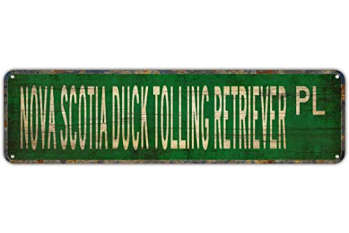 Straßenschild Nova Scotia Duck Tolling Retriever Nova Scotia Duck Tolling Straßenschilder 40,6 x 10,2 cm Straßenschilder für Schlafzimmer Kaffee Bar Schild Indoor Outdoor Metallschild Straßenschild von Texsource