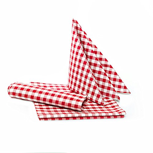 texpot Landhaus Servietten 60 x 60 cm - 12 Stück rot-weiß Kariert 5 mm Karo 100% Baumwolle von texpot