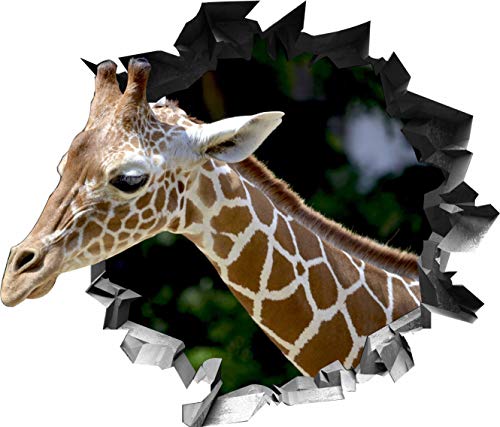 Wandtattoo Aufkleber WallArtML139 Wandbild Giraffe Afrika Mauerloch 3D Effekt verschiedene Größen Deko Wohnung Wohnzimmer Schlafzimmer Bad Kinderzimmer (81 x 70 cm) von Textildruck Richter